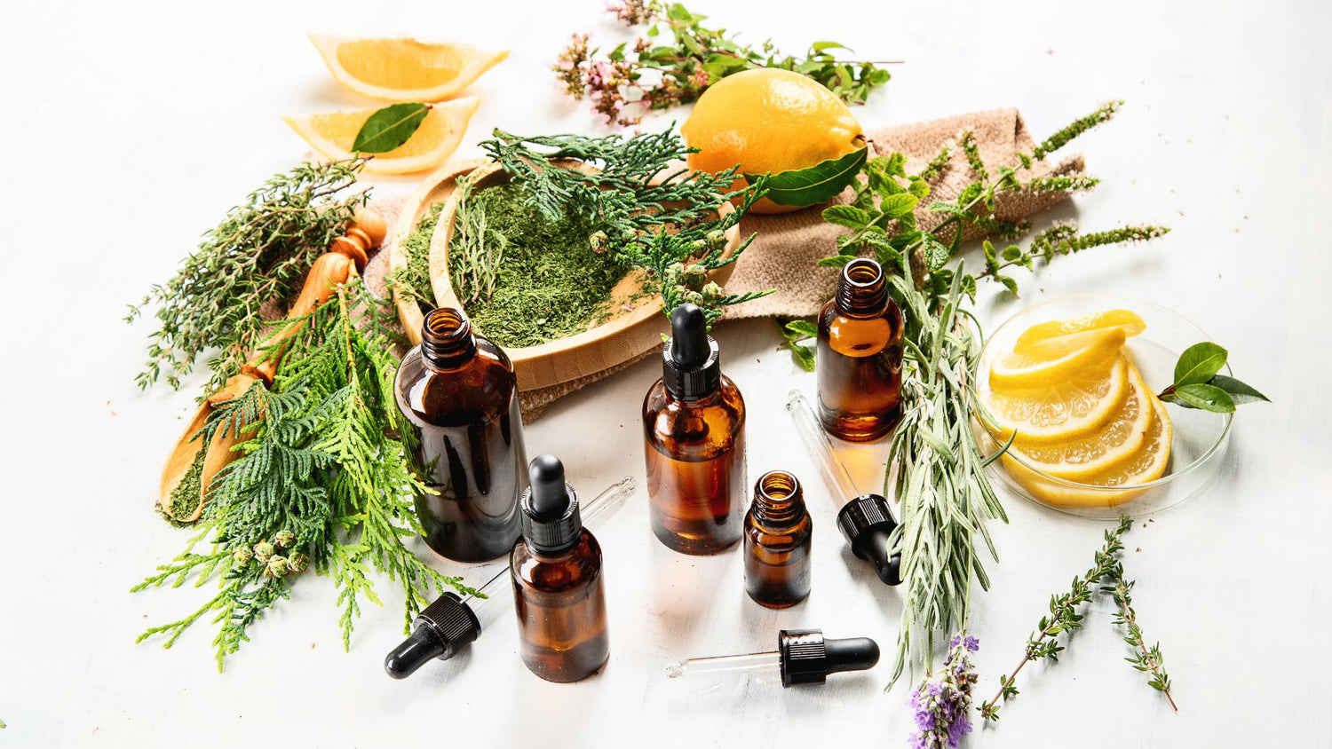 L'Essentiel de l'Aromathérapie : Huiles Essentielles pour le Bien-Être - lofficinedumonde.fr