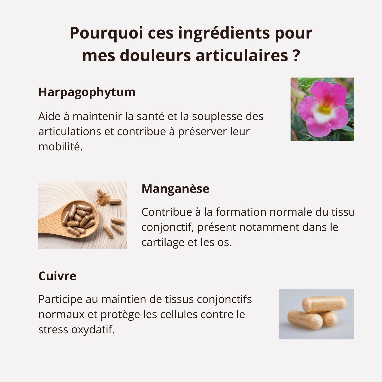 Articulations - Nigelle & Thymoquinone 20mg