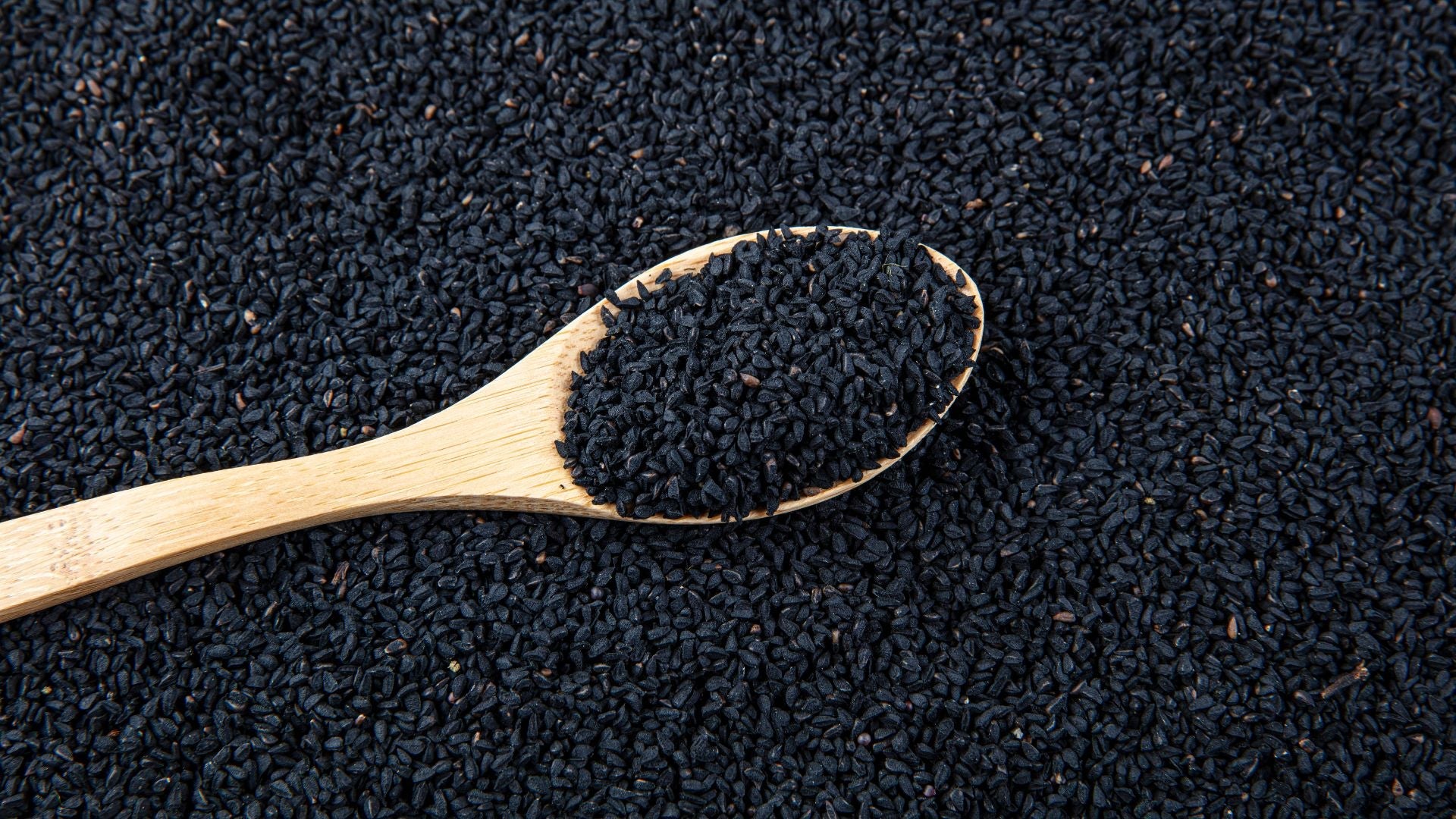 Graines de nigelle d&