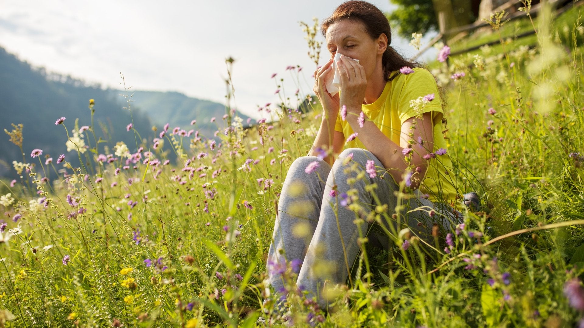 Allergies : La nigelle et ses effets anti-histaminiques - lofficinedumonde.fr