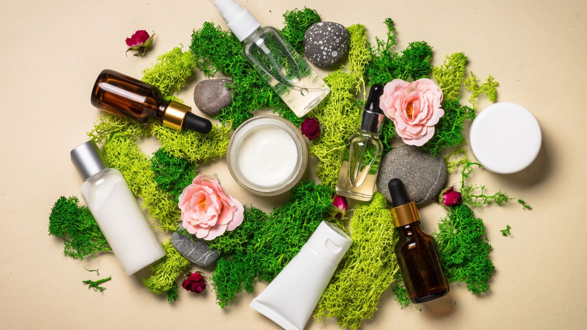 Cosmétiques naturels à base de plantes : découvrez les secrets de beauté de la nature - lofficinedumonde.fr