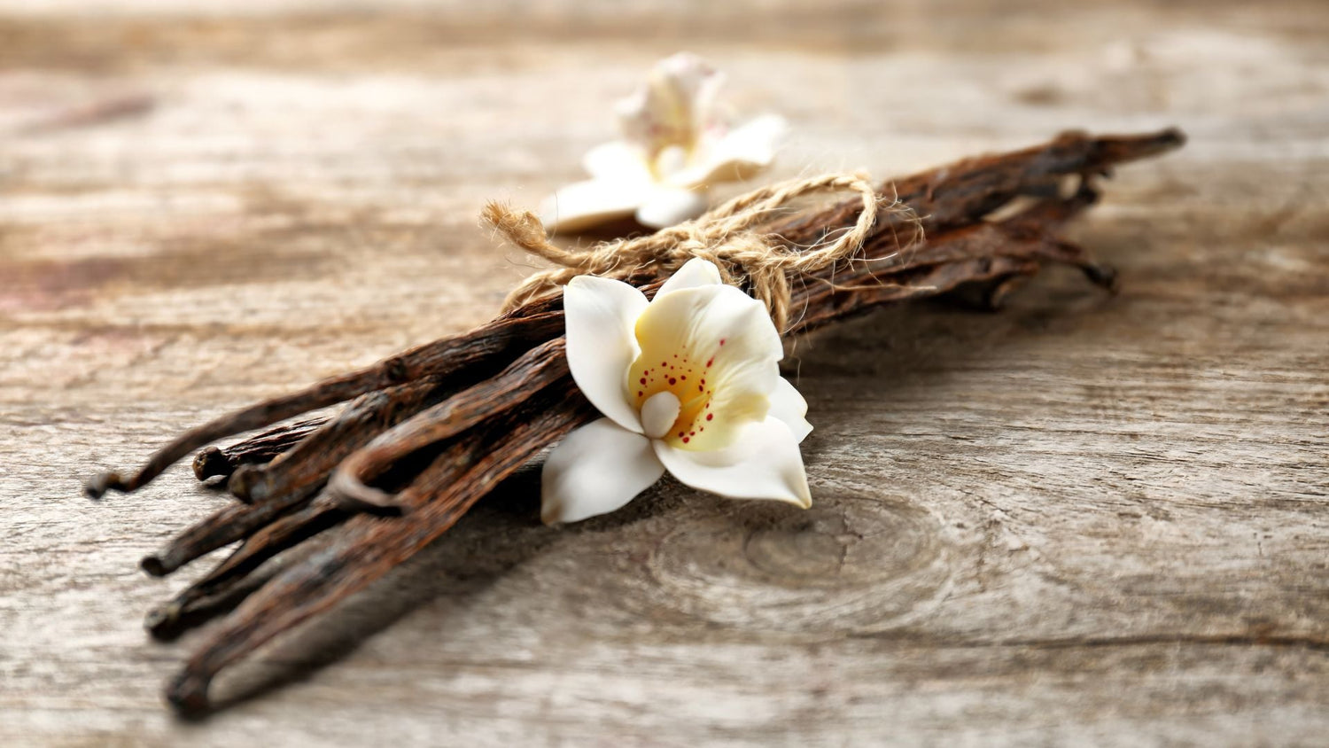 La Fleur de Vanille : Un Trésor Naturel de Bienfaits pour l'Organisme - lofficinedumonde.fr