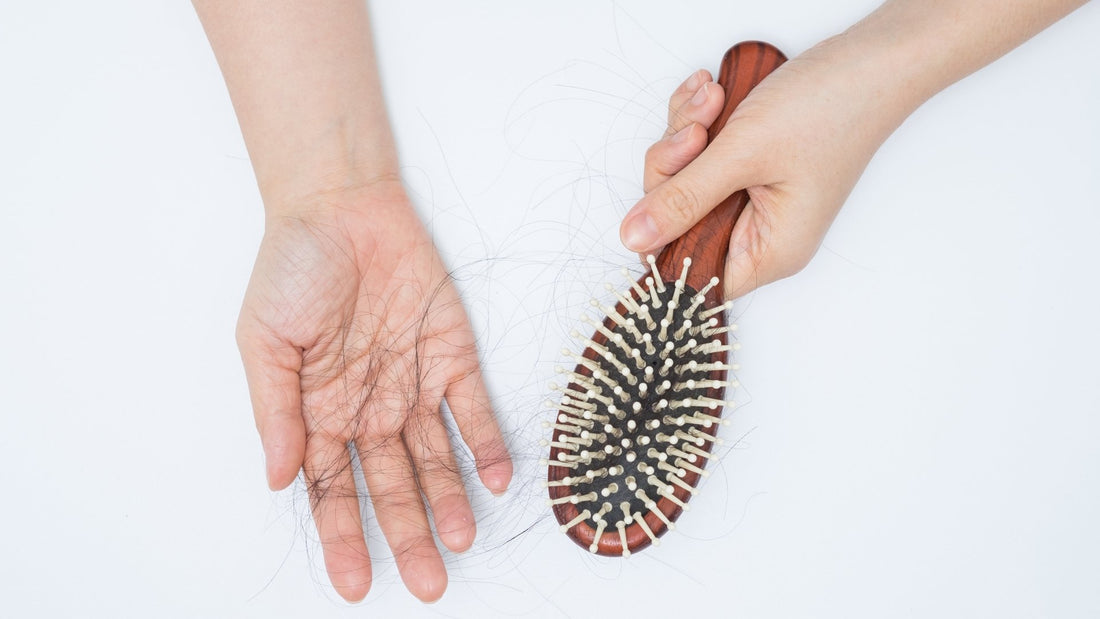 L’alopécie : la chute de cheveux - lofficinedumonde.fr