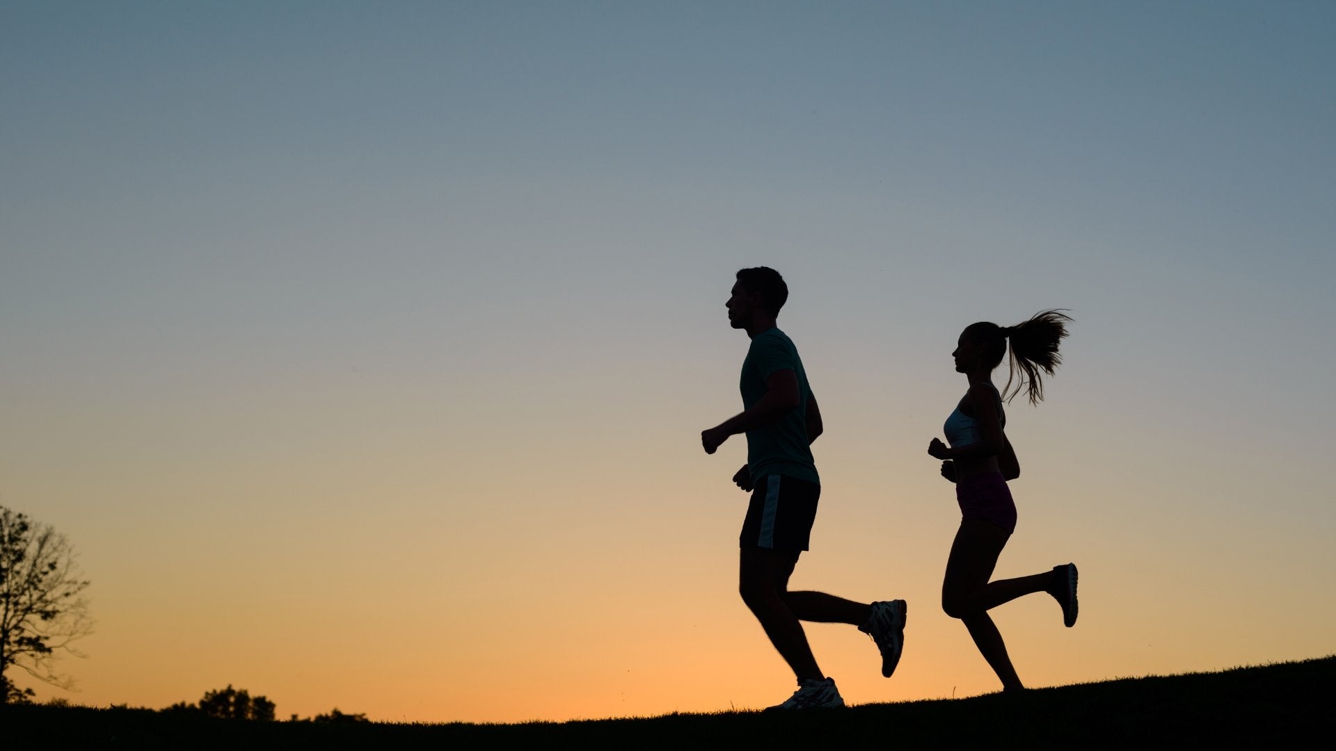 Pourquoi il est important de pratiquer des exercices régulièrement - lofficinedumonde.fr