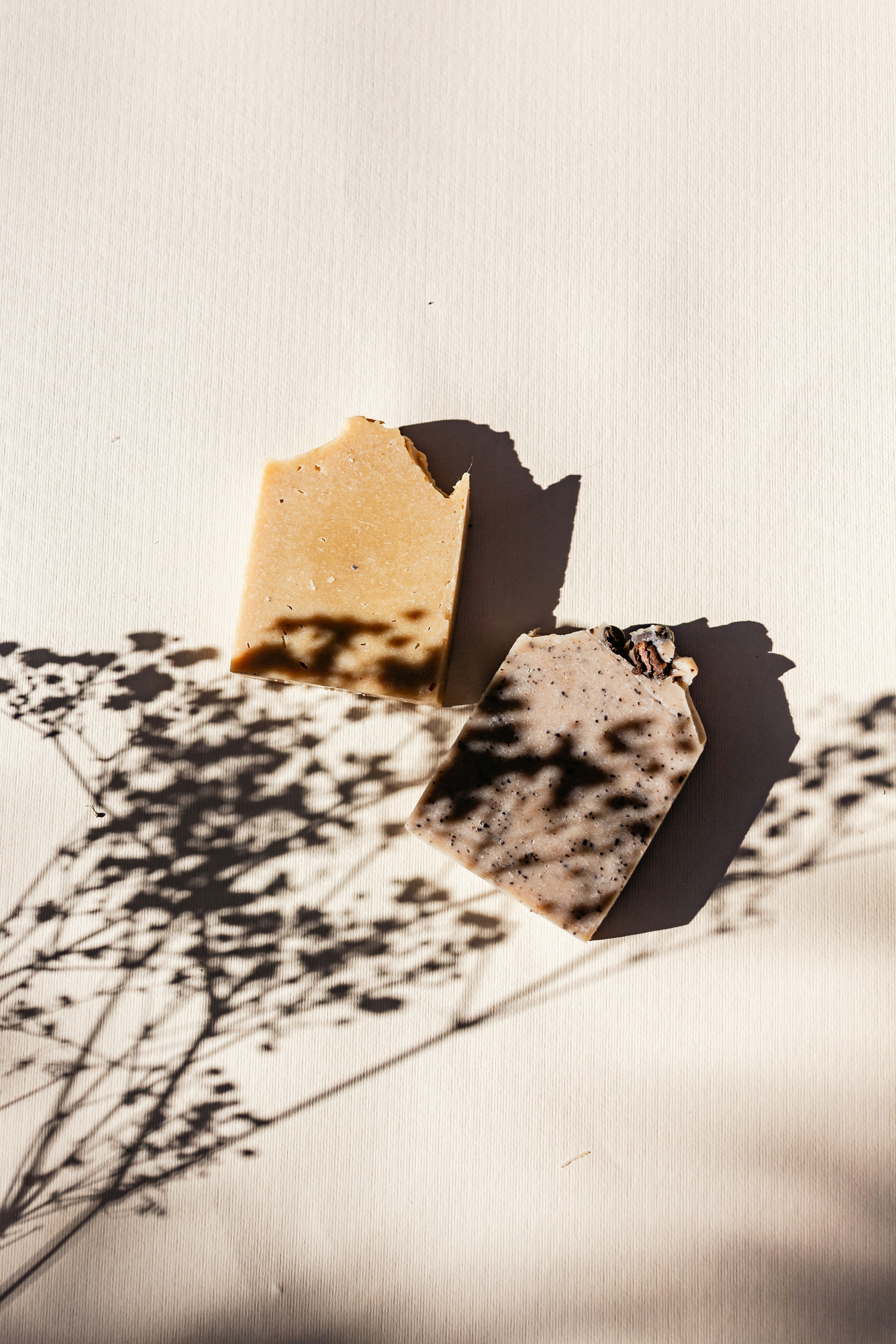 Savon & Graine