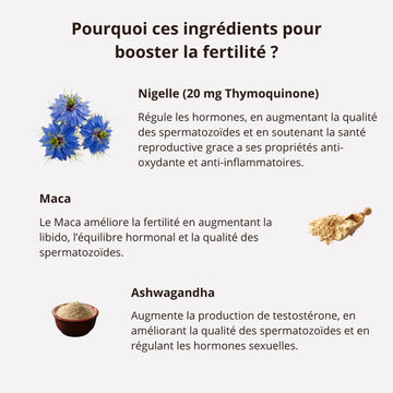 Fertilit Masculine Boostez Votre Fertilit Cure De 2 Mois fertilit-masculine-boostez-votre-fertilit-cure-de-2-mois