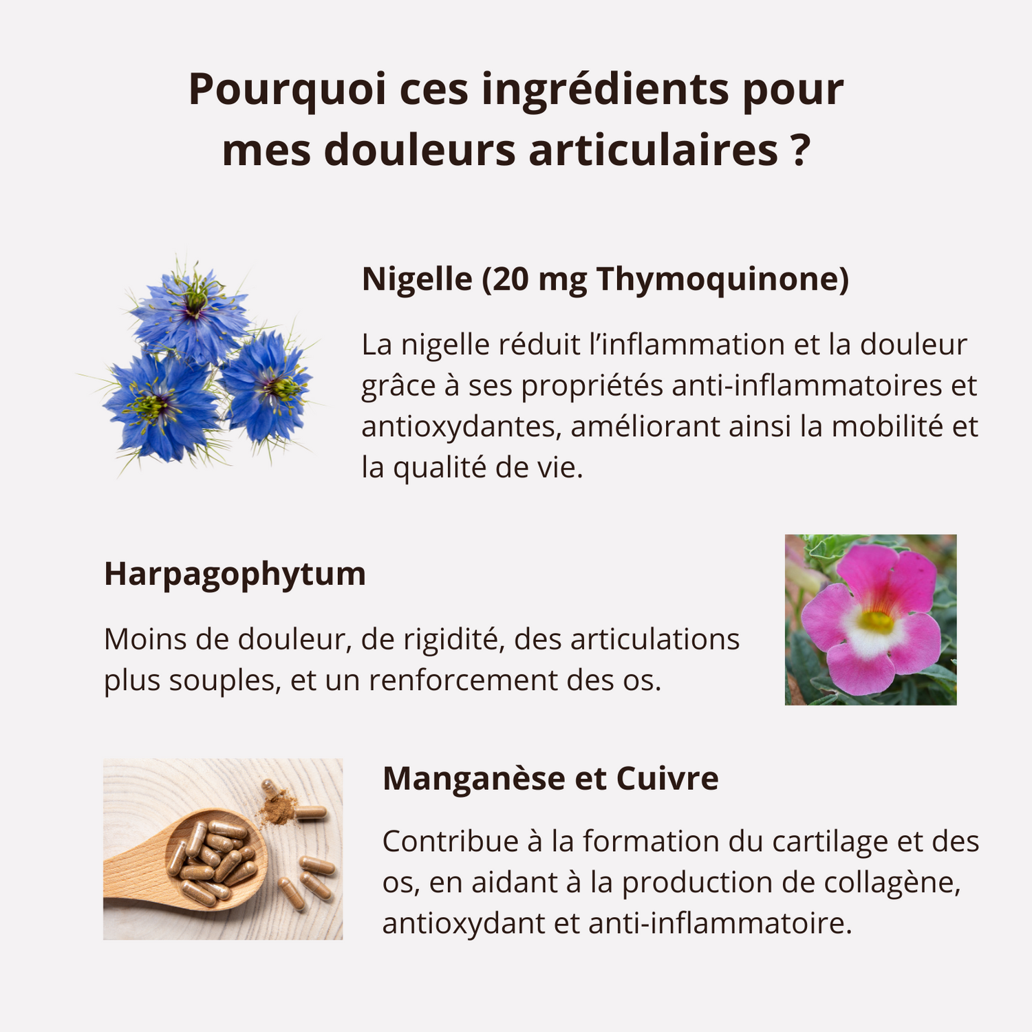 ingrédients pour mes douleurs articulaires : Nigelle, Harpagophytum, manganèse et cuivre