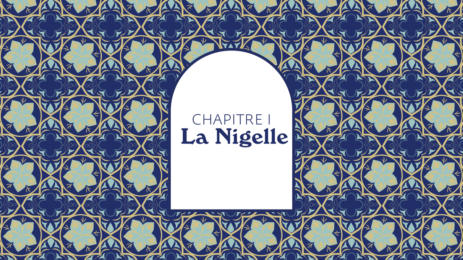 Bannière complément nigelle