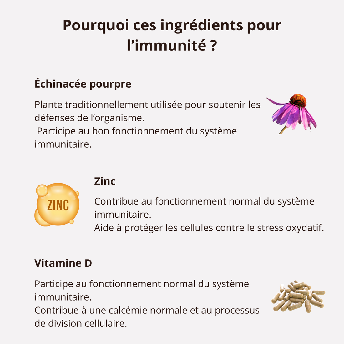 Immunité - Boostez vos défenses naturelles - Complément alimentaire formulé par un Pharmacien