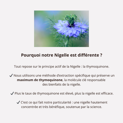 Ménopause - Thymoquinone 20mg - Cure de 2 mois