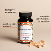 Bienfaits de la cure Articulations : Soulage vos articulations, augmente votre flexibilité et souplesse, améliore votre mobilité