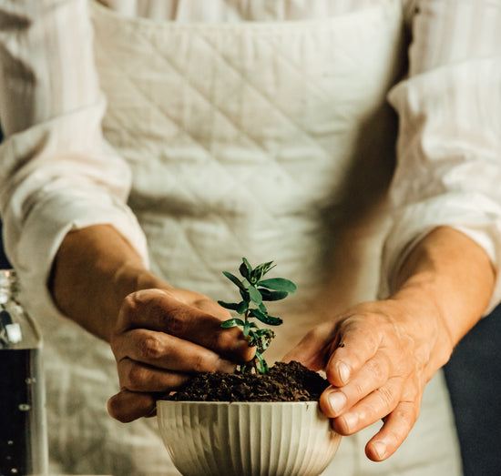 Femmes qui plantes une fleur