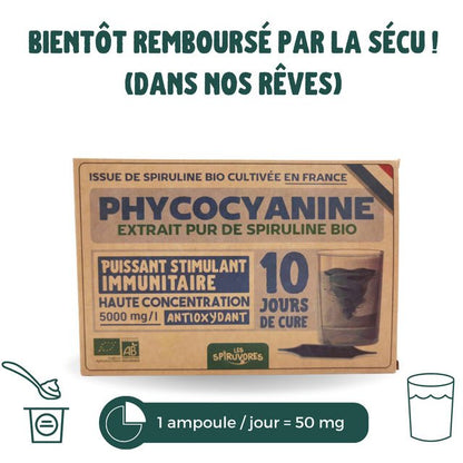 Phycocyanine Bio française et sans conservateur - 5000 mg/l - 10 ampoules - lofficinedumonde.fr