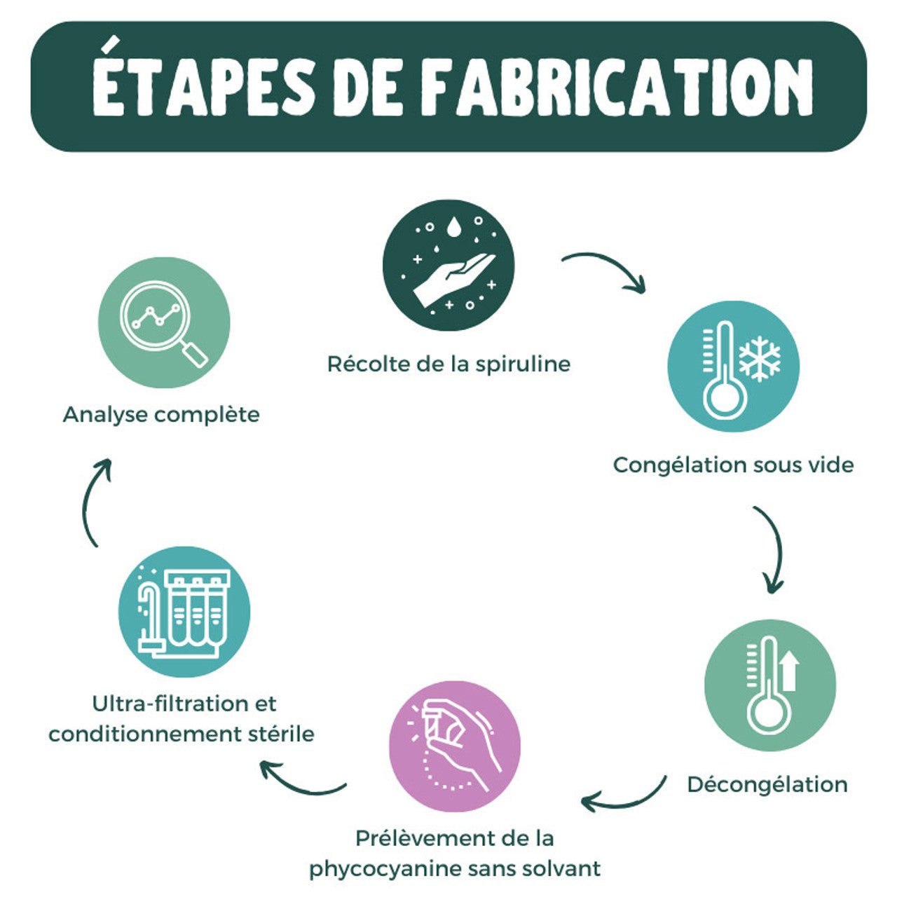 Phycocyanine Bio française et sans conservateur - 5000 mg/l - 10 ampoules - lofficinedumonde.fr